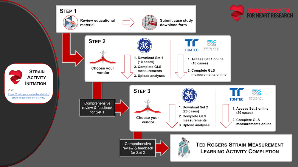 Processing and presentation of GLS. Values of the peak systolic