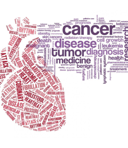 cardiotoxicity wordcloud