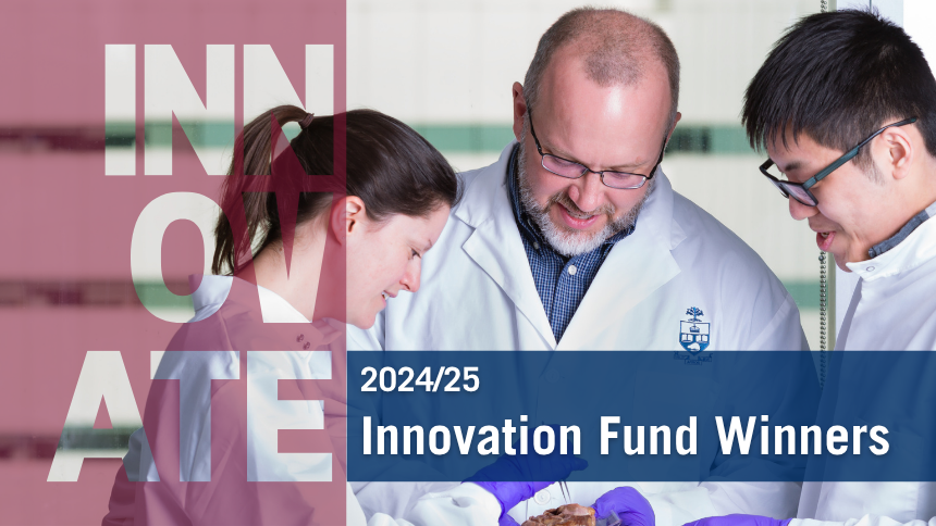 Our 2024-25 Innovation Fund Award Winners