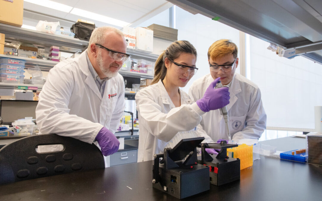 A New Approach to Building More Realistic Human Heart Cell Models