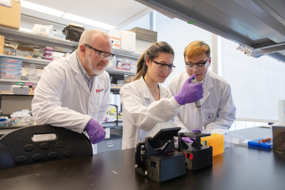 A New Approach to Building More Realistic Human Heart Cell Models | Ted ...