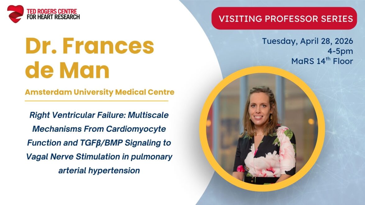 Visiting Professor Template C4U is now accredited